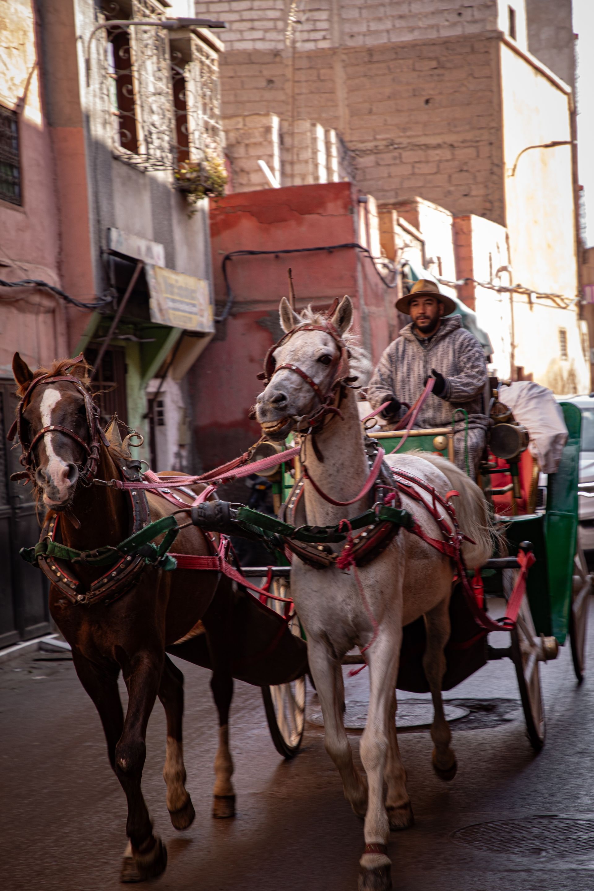 Tour de Marrakech en calèche