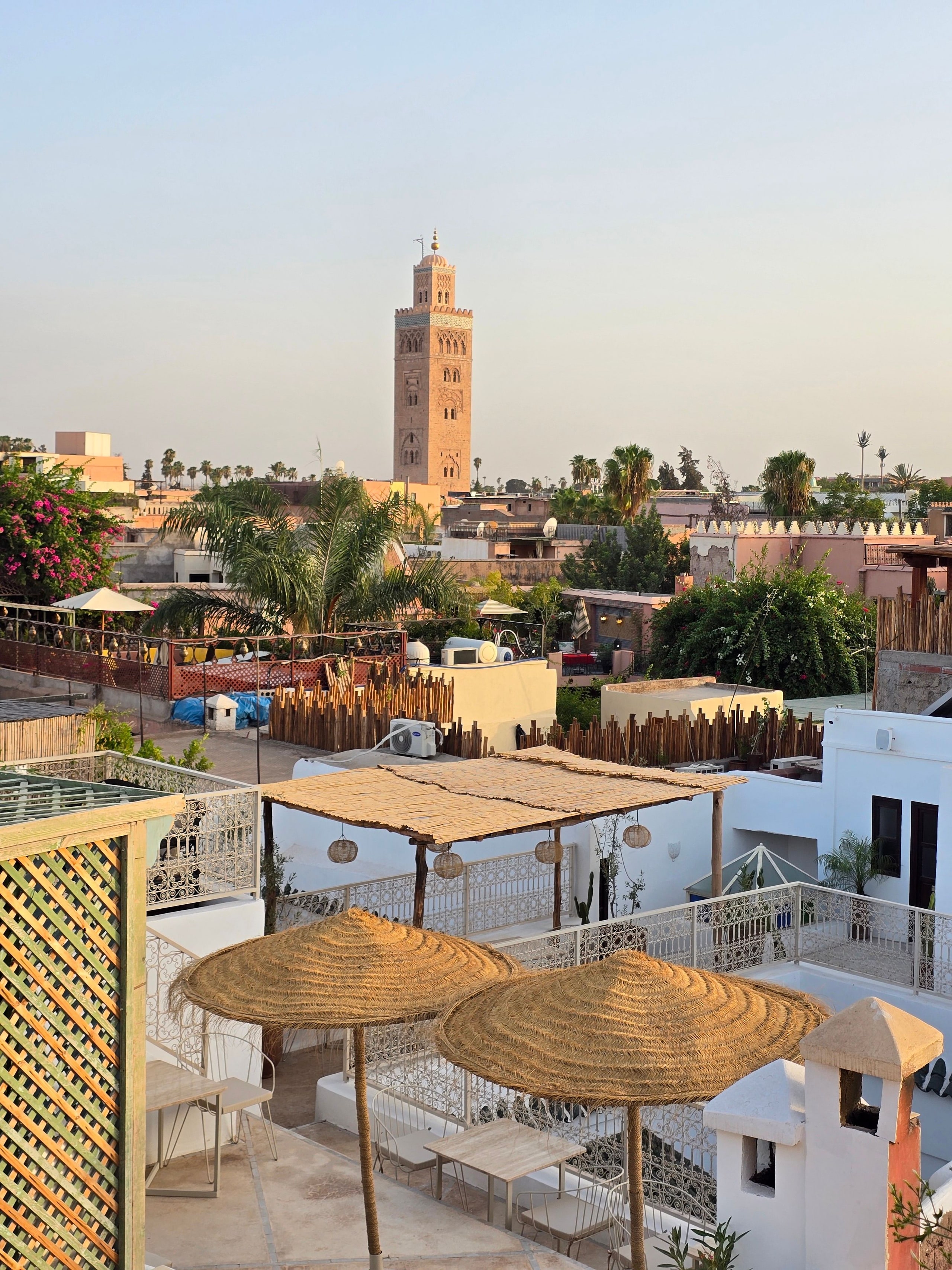 Dinner on a medina rooftop