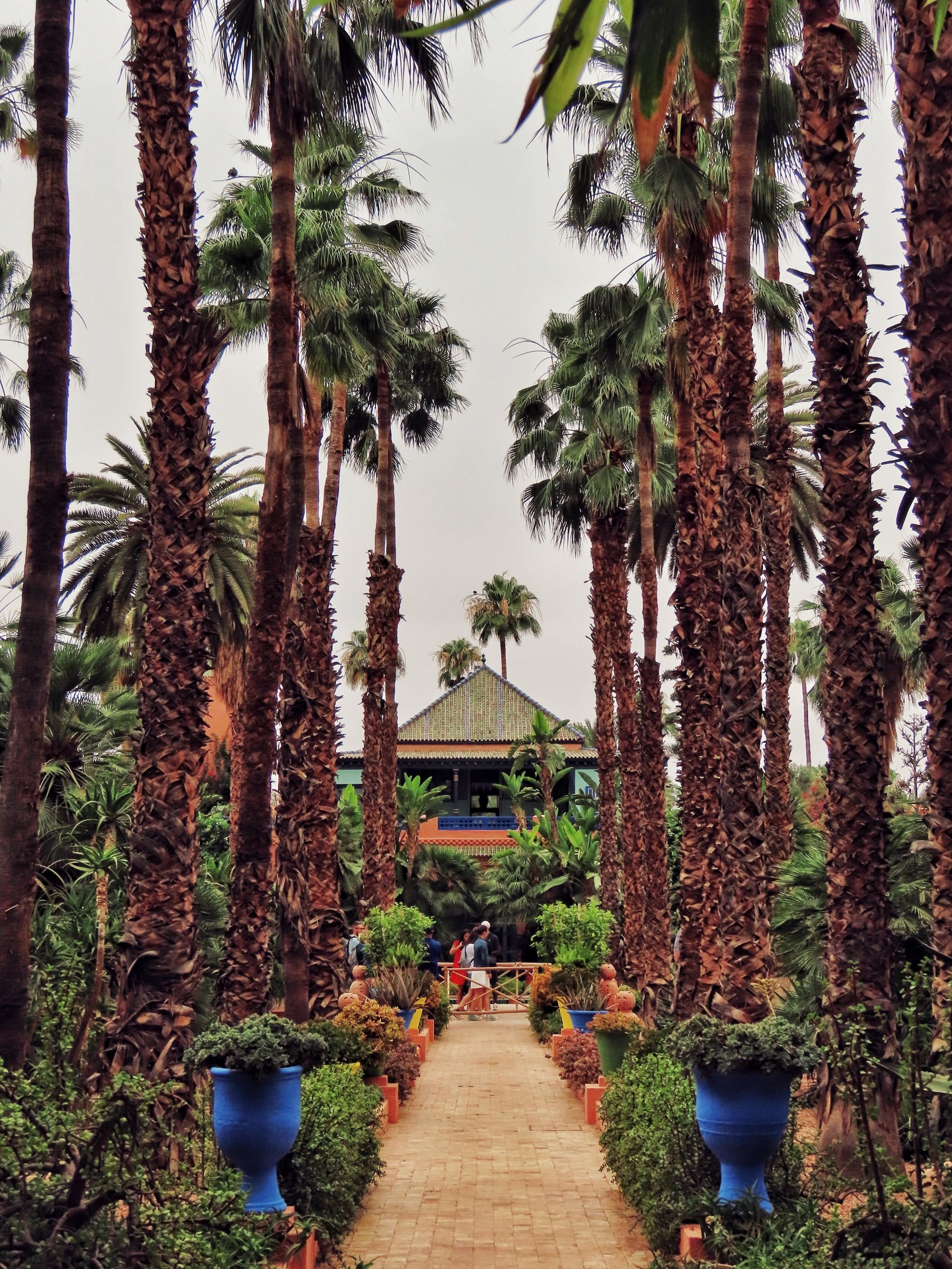 Jardin Majorelle et musée Yves Saint Laurent