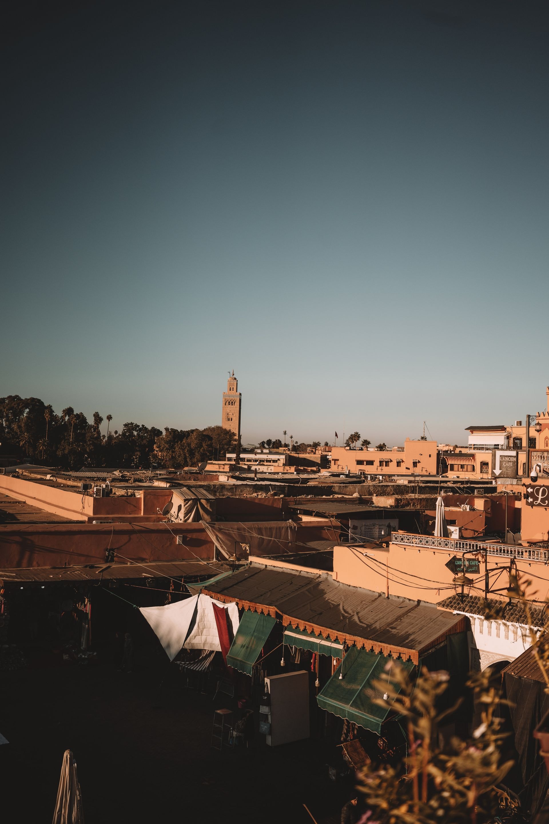 Tour de Marrakech en calèche