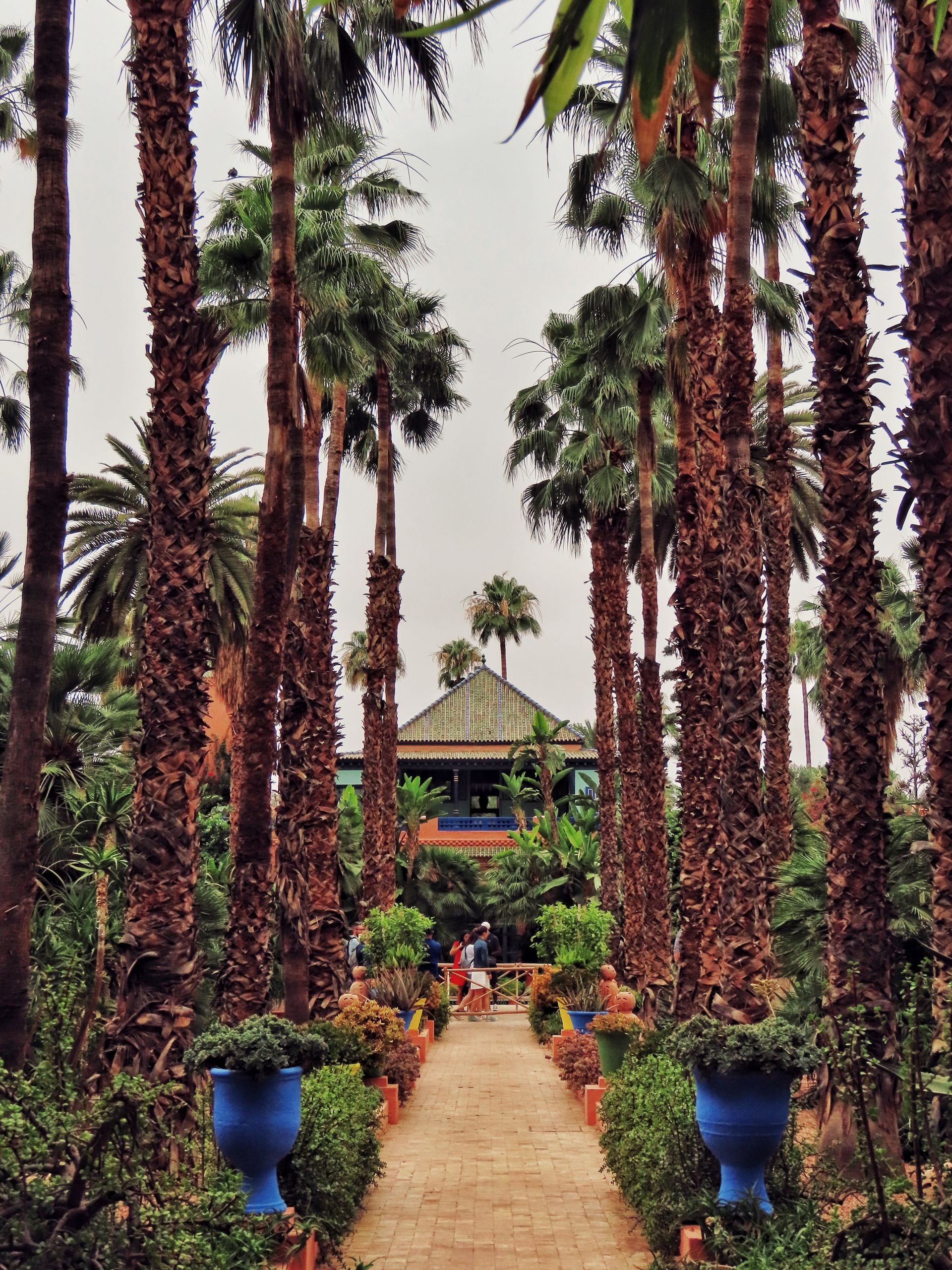 Jardin Majorelle et musée Yves Saint Laurent