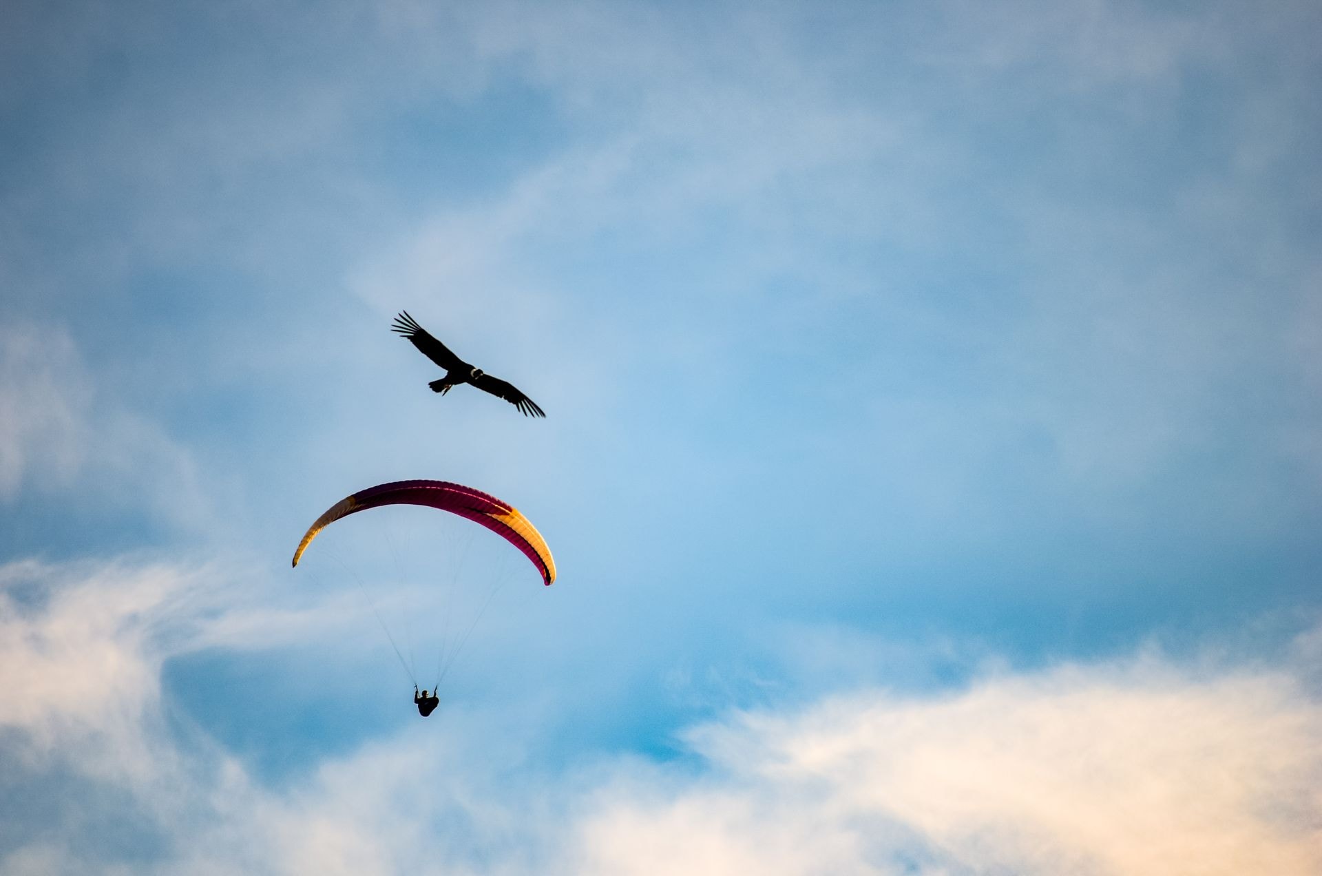 Vol en parapente biplace au-dessus d'Aguergour