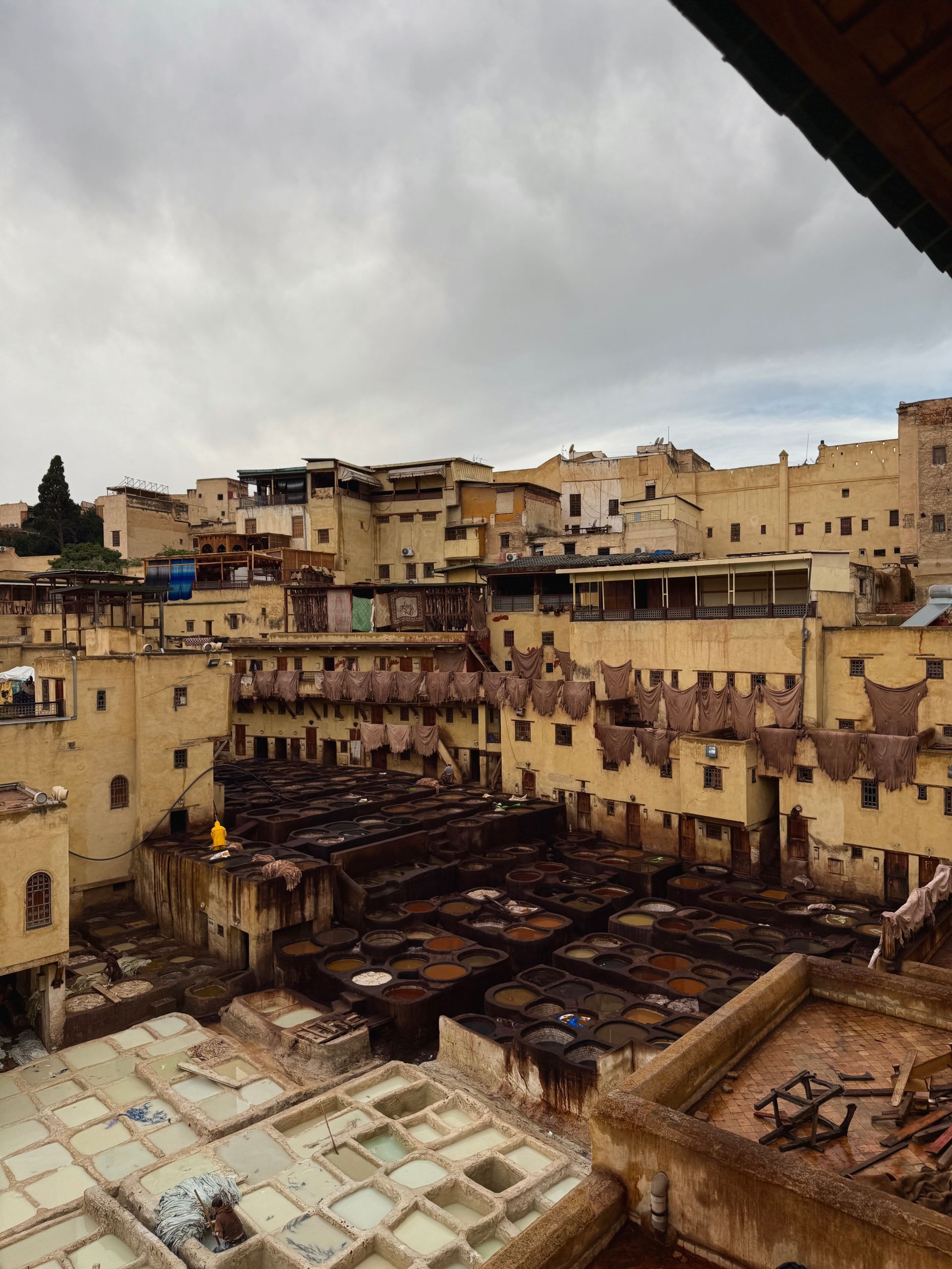 Médina de Fès et tanneries avec un guide