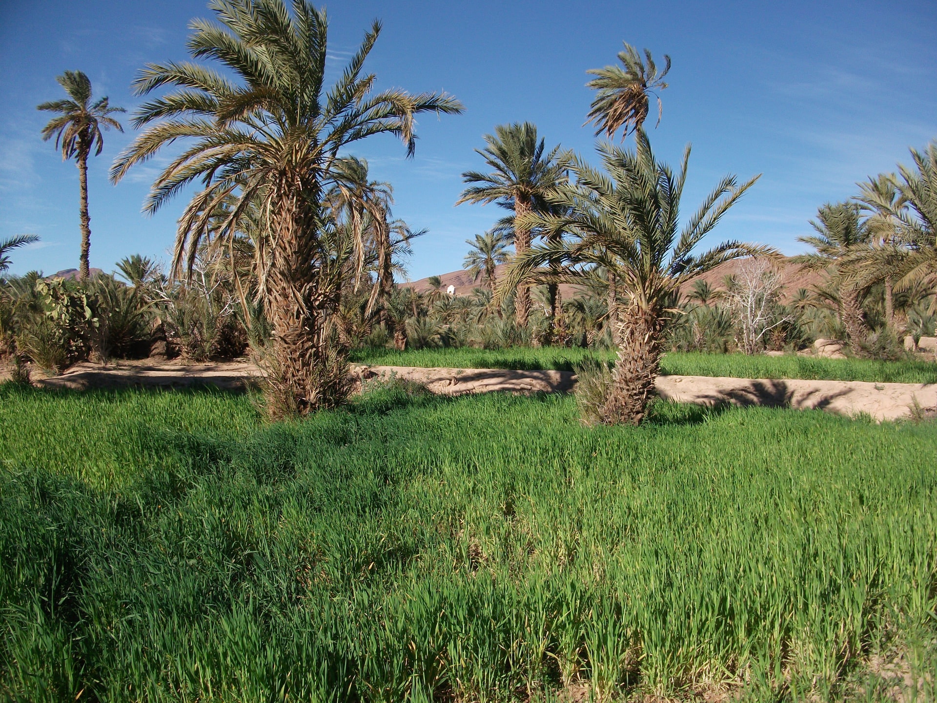 Skoura, Maroc