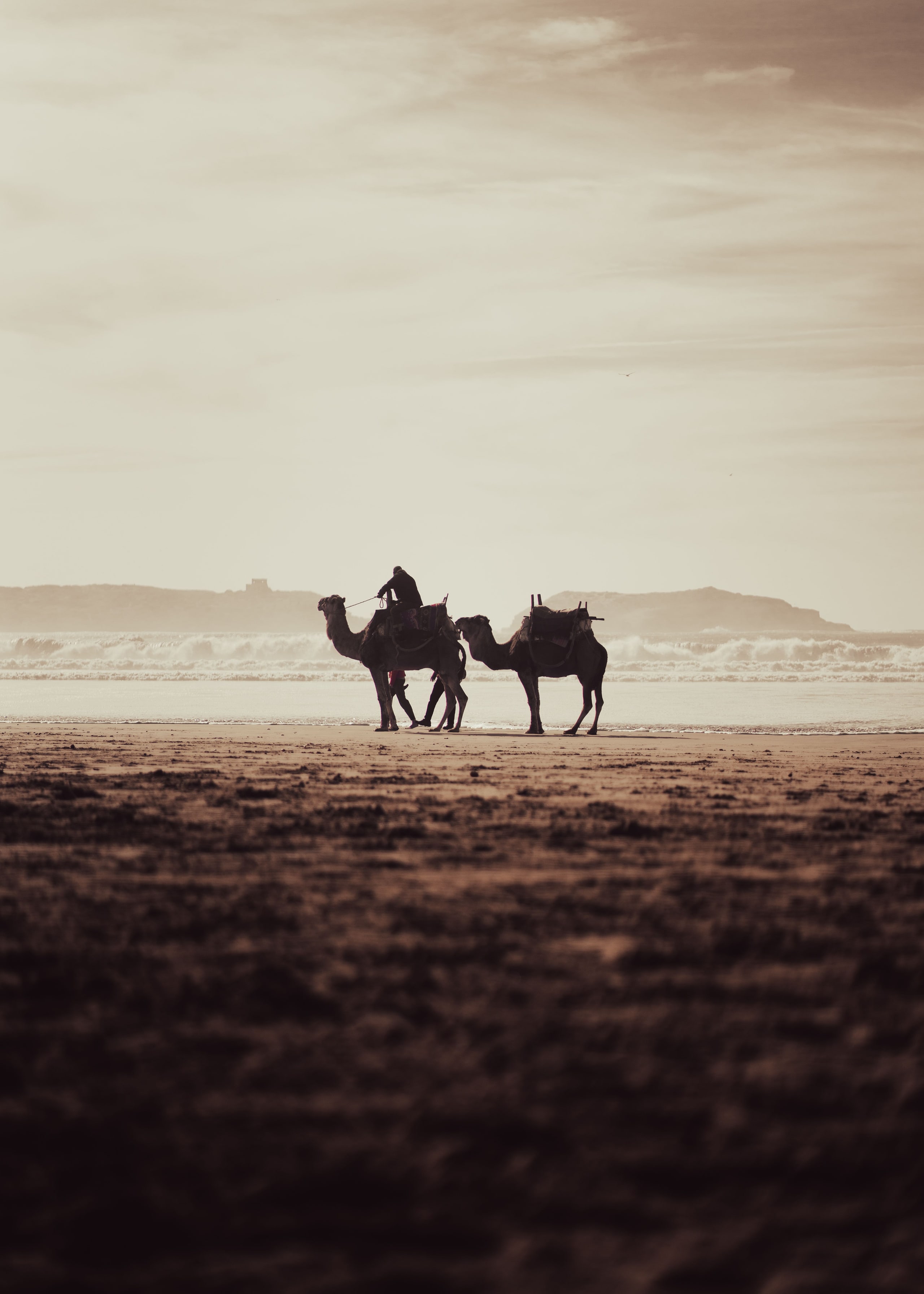 Dromedarritt am Strand von Essaouira