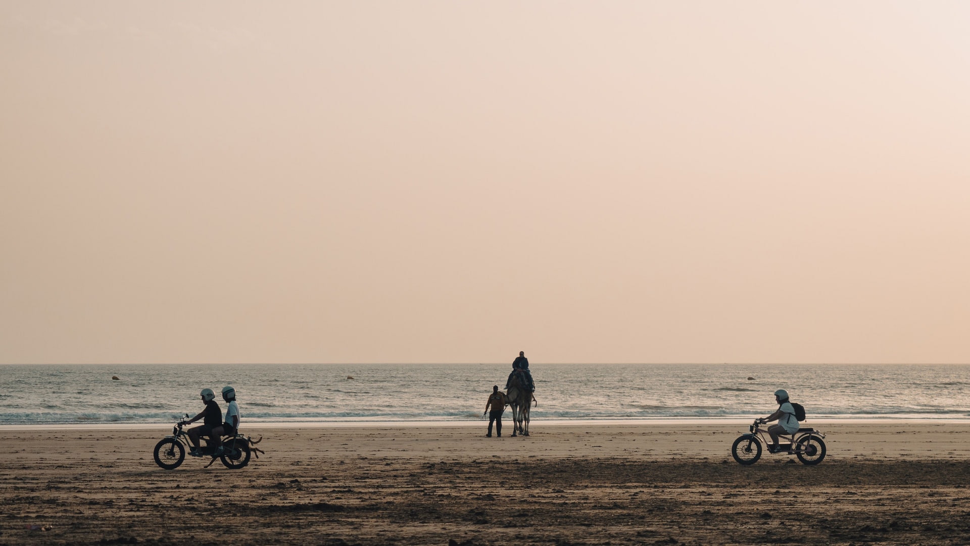 Dromedarritt am Strand von Essaouira