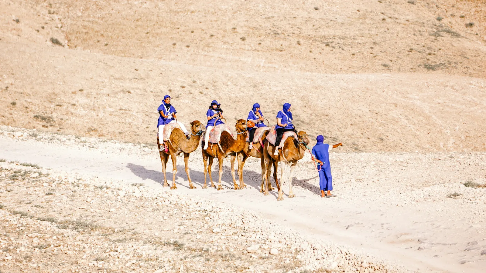 Balade à dos de dromadaire à Agafay